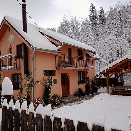 فيلا Casa Iulia & Matei Cîrţişoara المظهر الخارجي الصورة