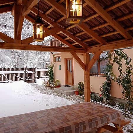 فيلا Casa Iulia & Matei Cîrţişoara المظهر الخارجي الصورة