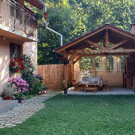 فيلا Casa Iulia & Matei Cîrţişoara المظهر الخارجي الصورة