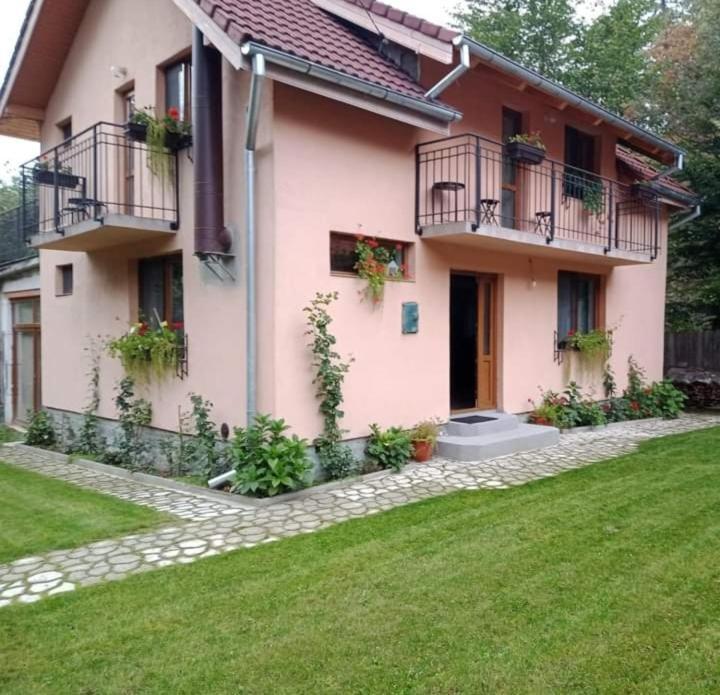 فيلا Casa Iulia & Matei Cîrţişoara المظهر الخارجي الصورة