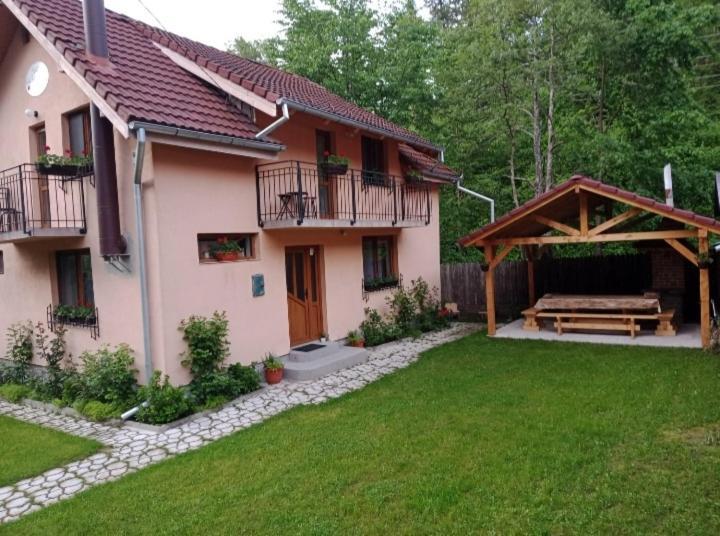 فيلا Casa Iulia & Matei Cîrţişoara المظهر الخارجي الصورة