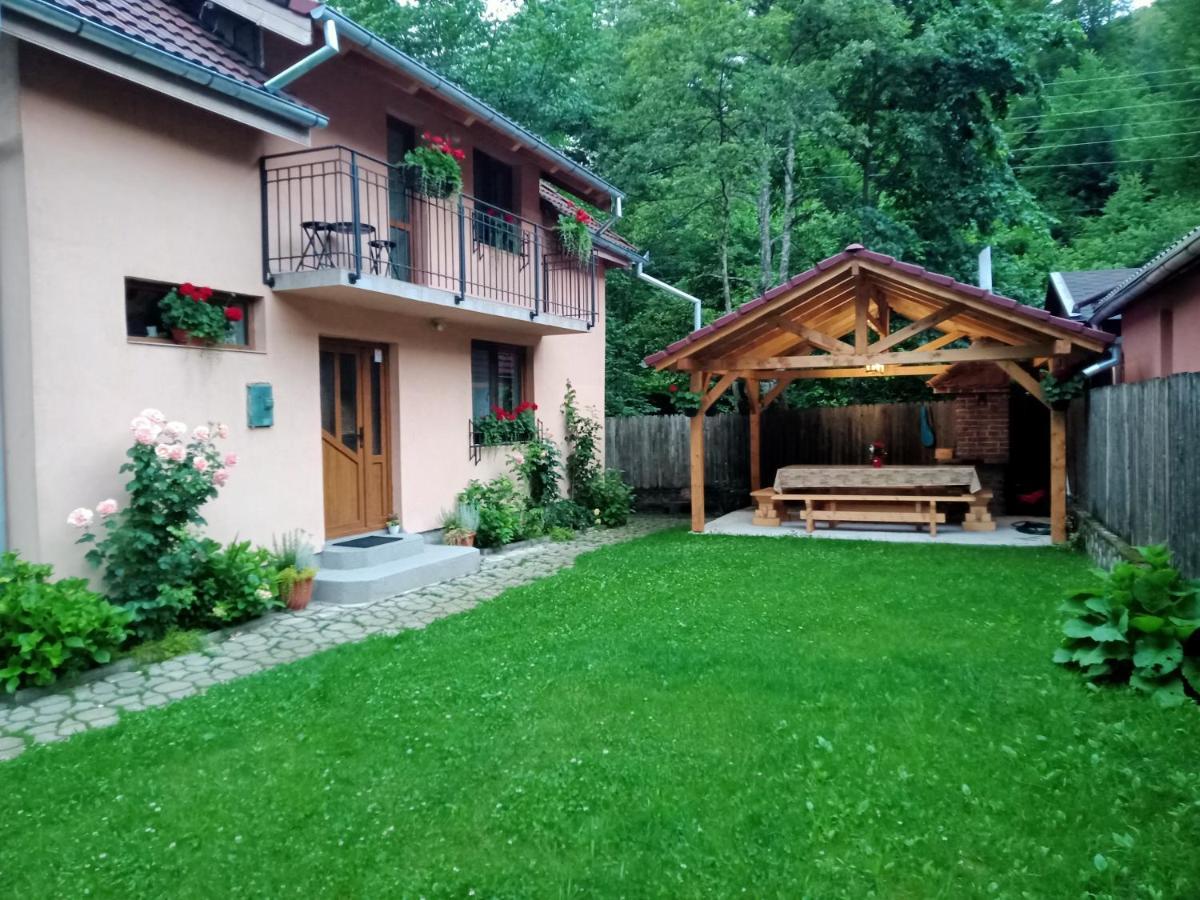 فيلا Casa Iulia & Matei Cîrţişoara المظهر الخارجي الصورة