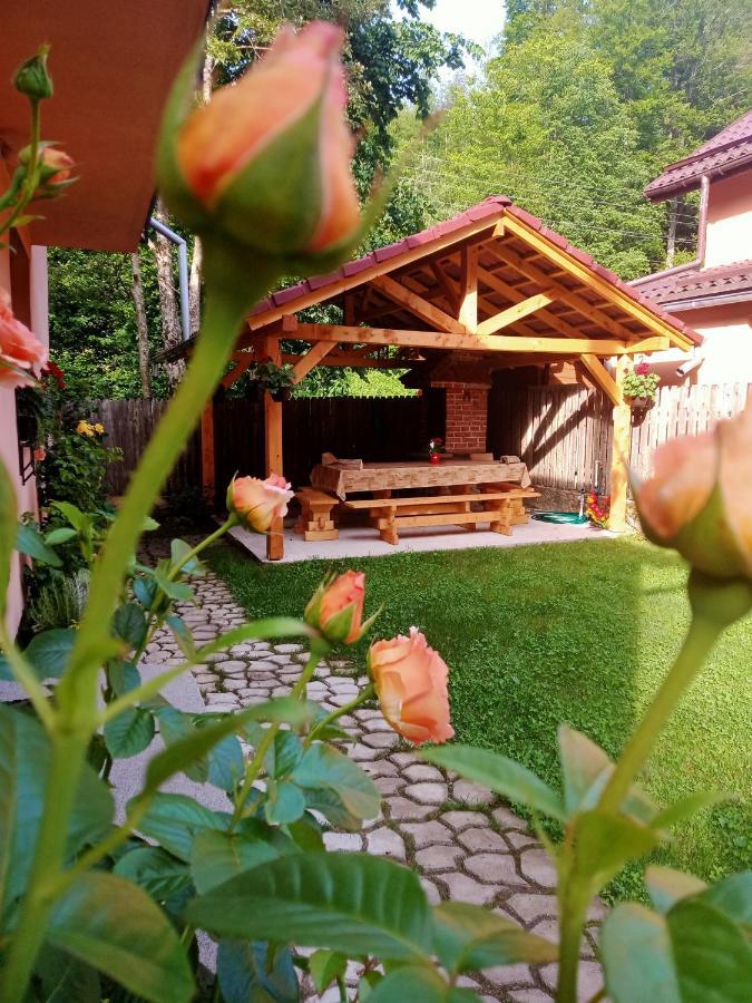 فيلا Casa Iulia & Matei Cîrţişoara المظهر الخارجي الصورة