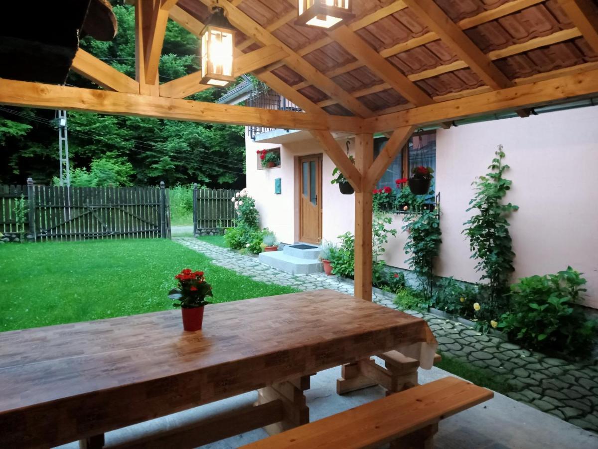 فيلا Casa Iulia & Matei Cîrţişoara المظهر الخارجي الصورة