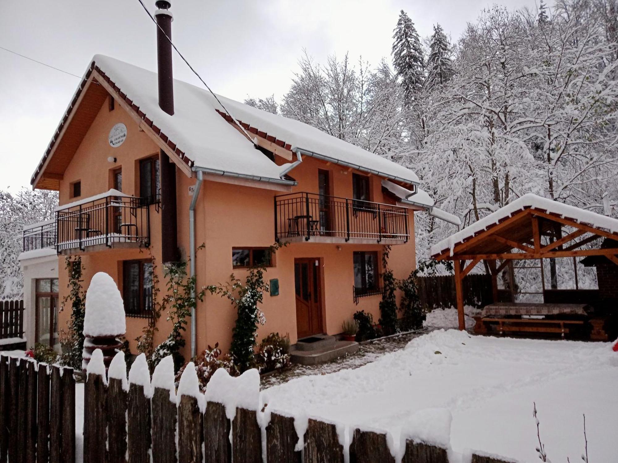 فيلا Casa Iulia & Matei Cîrţişoara المظهر الخارجي الصورة