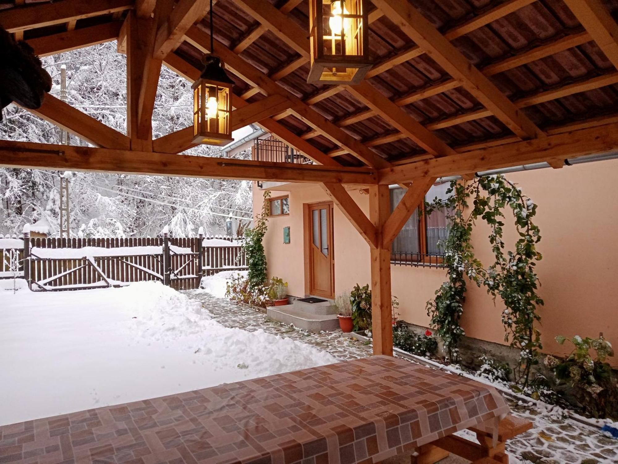 فيلا Casa Iulia & Matei Cîrţişoara المظهر الخارجي الصورة