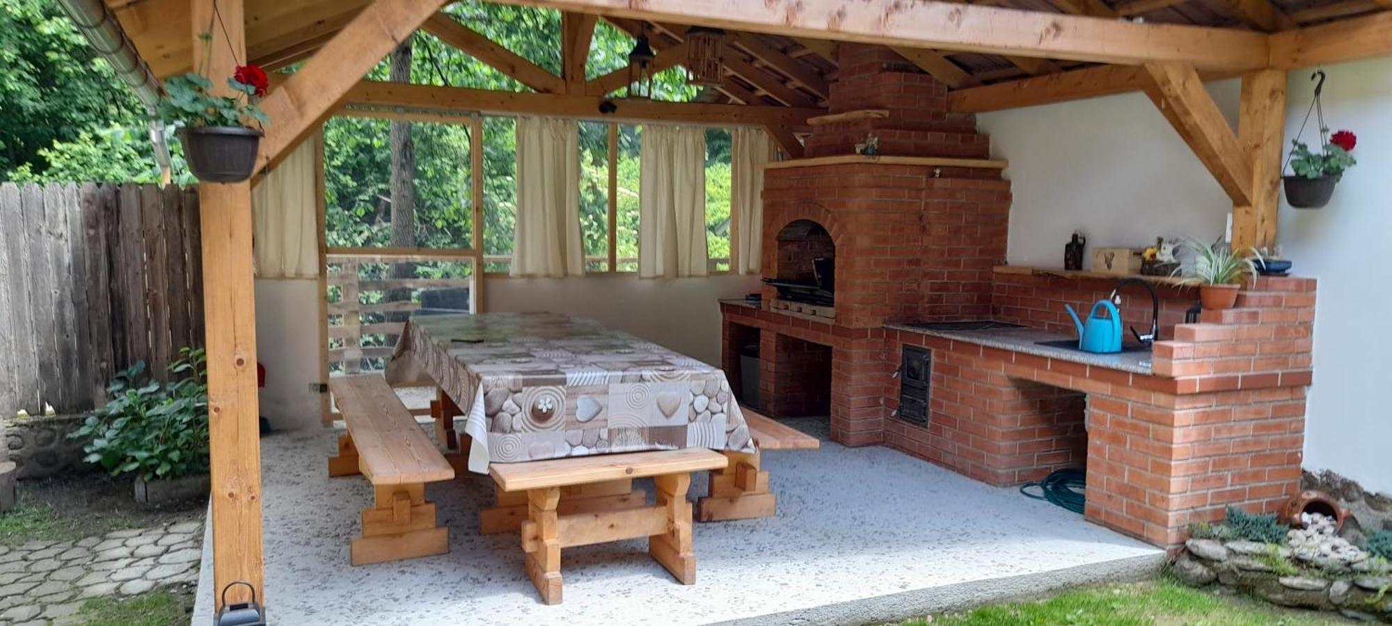 فيلا Casa Iulia & Matei Cîrţişoara المظهر الخارجي الصورة