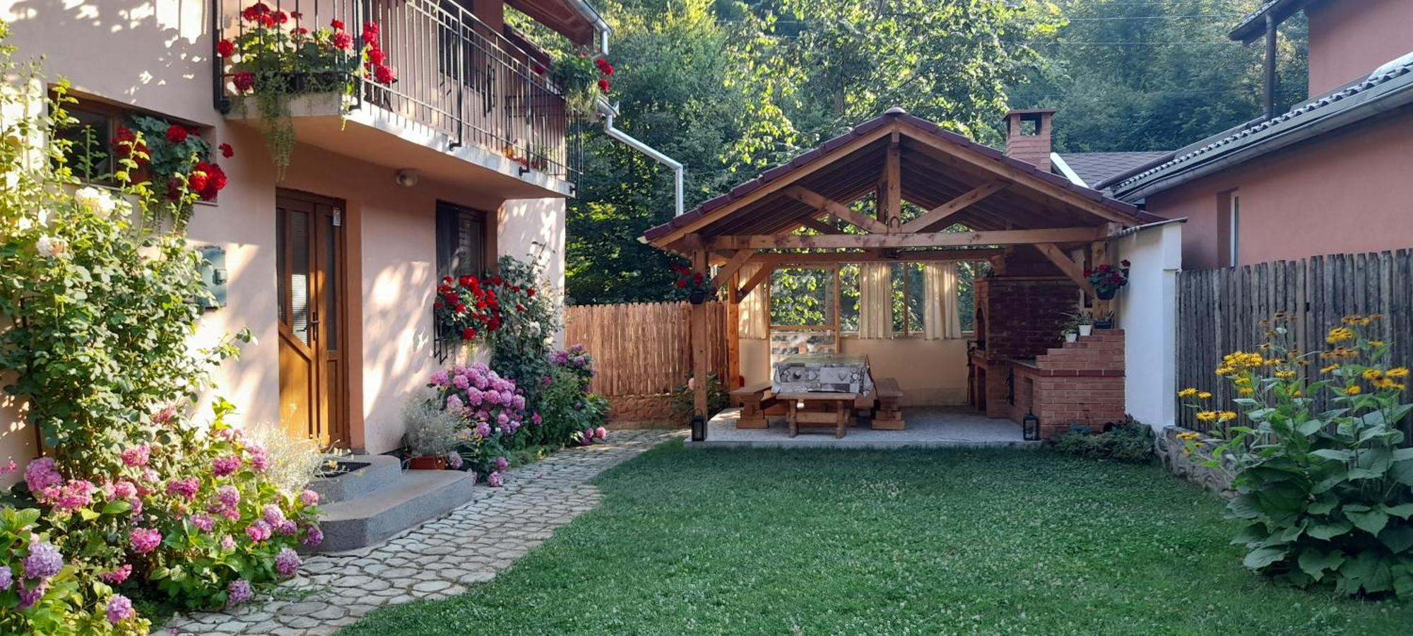 فيلا Casa Iulia & Matei Cîrţişoara المظهر الخارجي الصورة